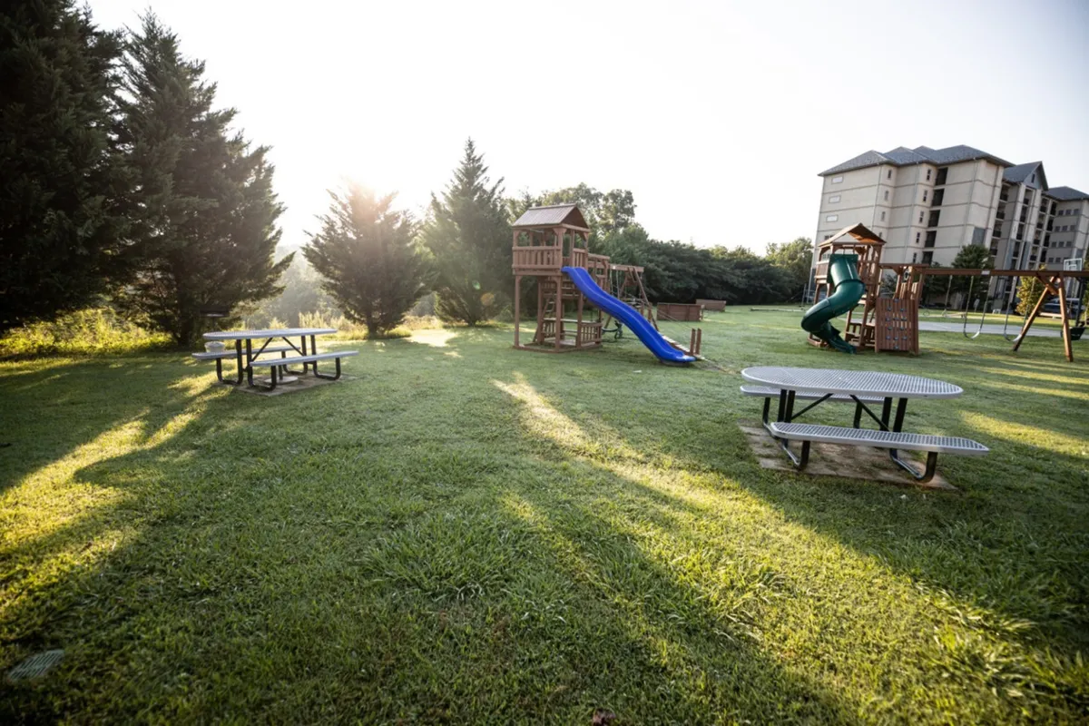 This photo features a sunlit playground area with colorful equipment, picnic tables nearby, and sunlight streaming through mature trees, creating a cheerful and welcoming environment for children and families.